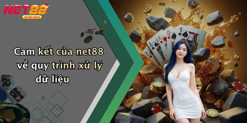 Điều Khoản Và Điều Kiện Cam kết của net88 về quy trình xử lý dữ liệu